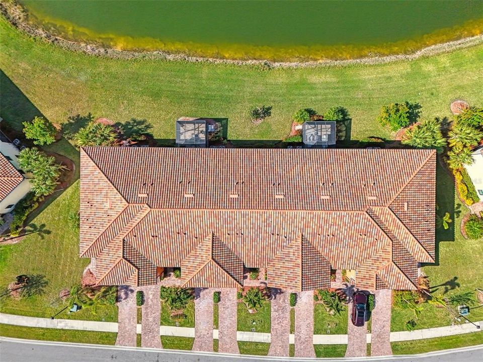 Aerial View 3rd Driveway on Left/Cage in Rear