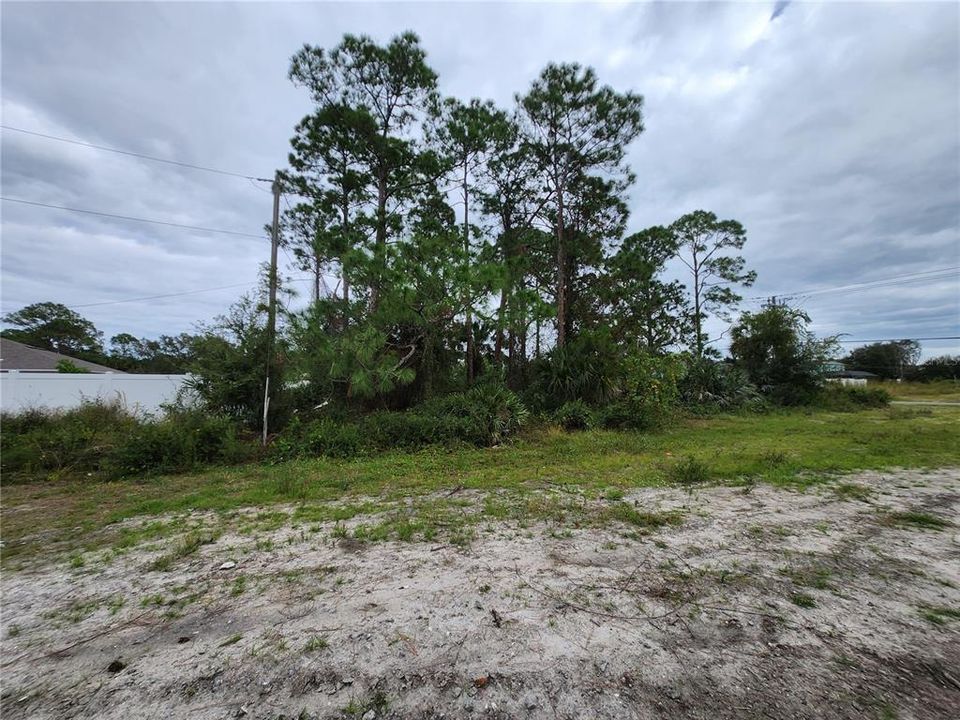 left side of lot, rear neighbor's fence from power line easement