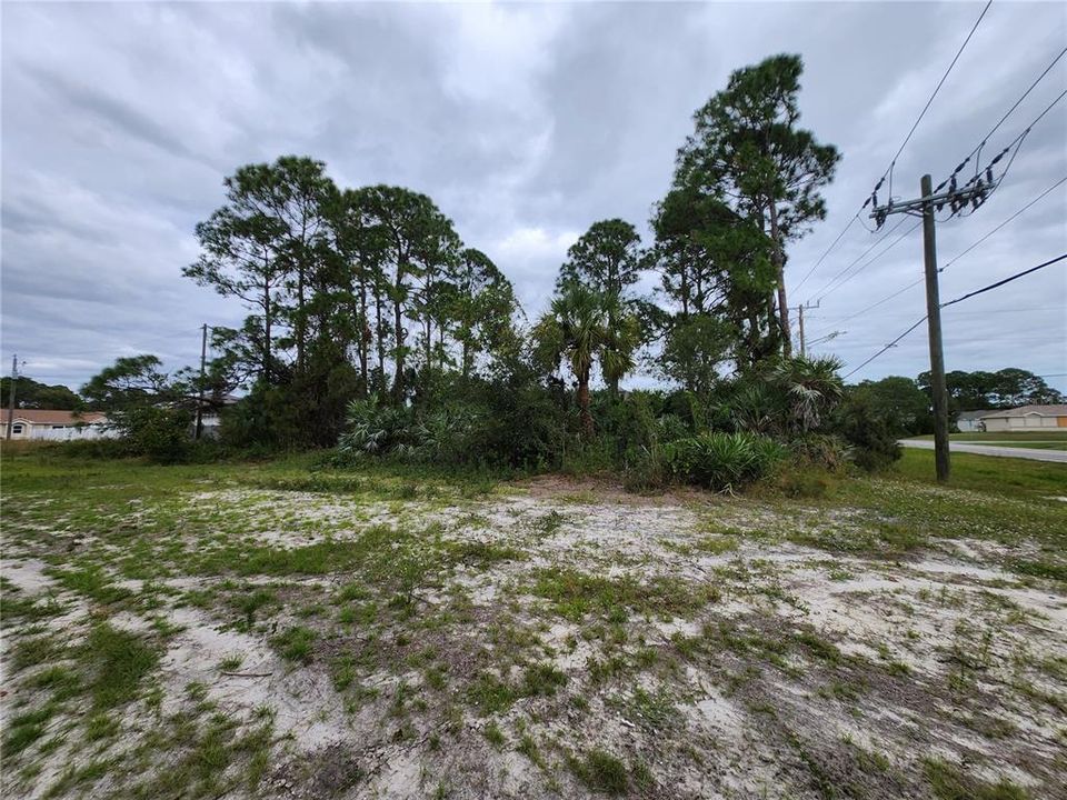 left side of lot from power line easement