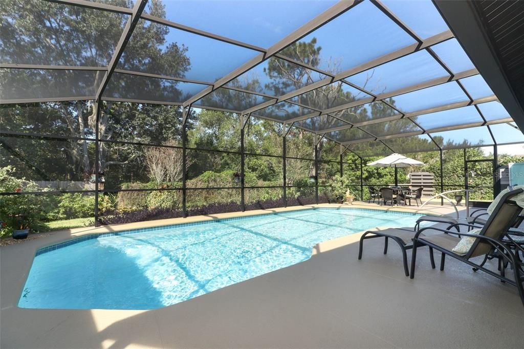 Huge Pool Deck is great for Entertaining!!