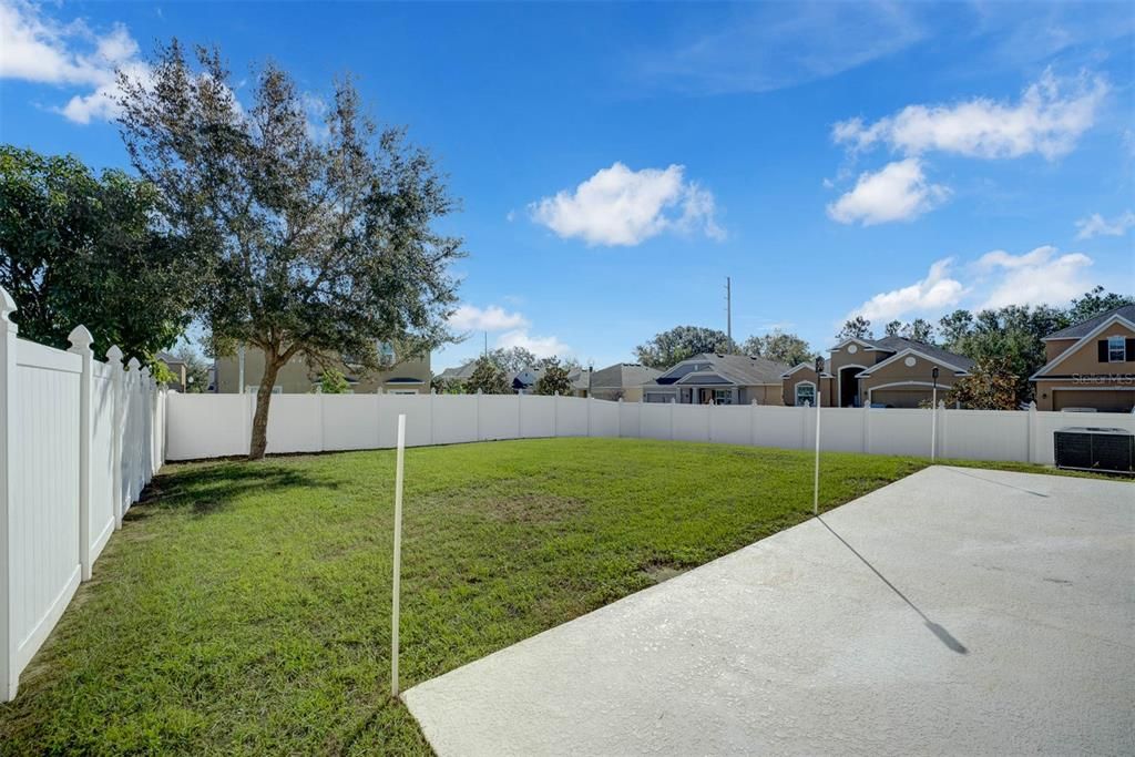 Backyard with Open Patio