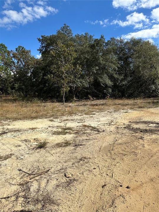 For Sale: $27,999 (0.29 acres)