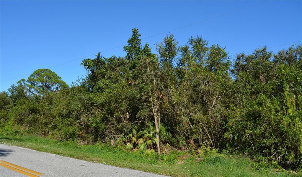 En Venta: $20,000 (0.26 acres)