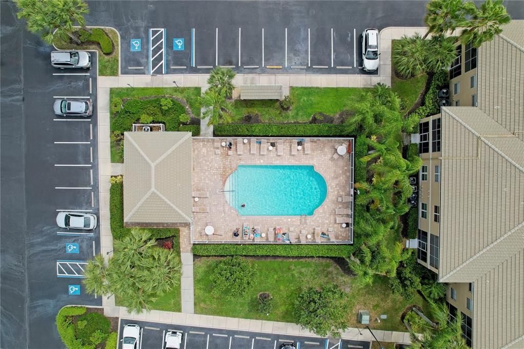 Community pool