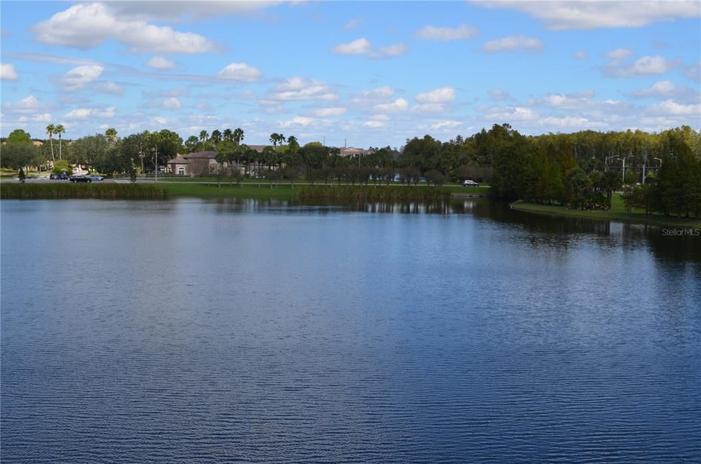 View From Balcony