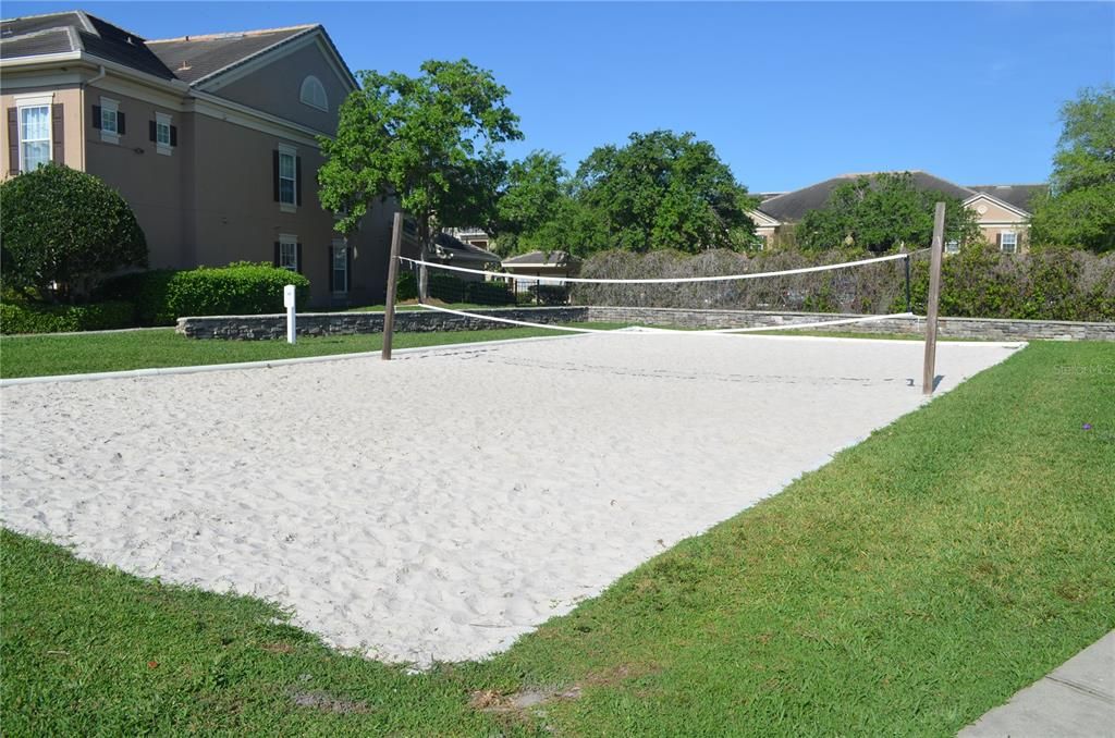 Volleyball Court