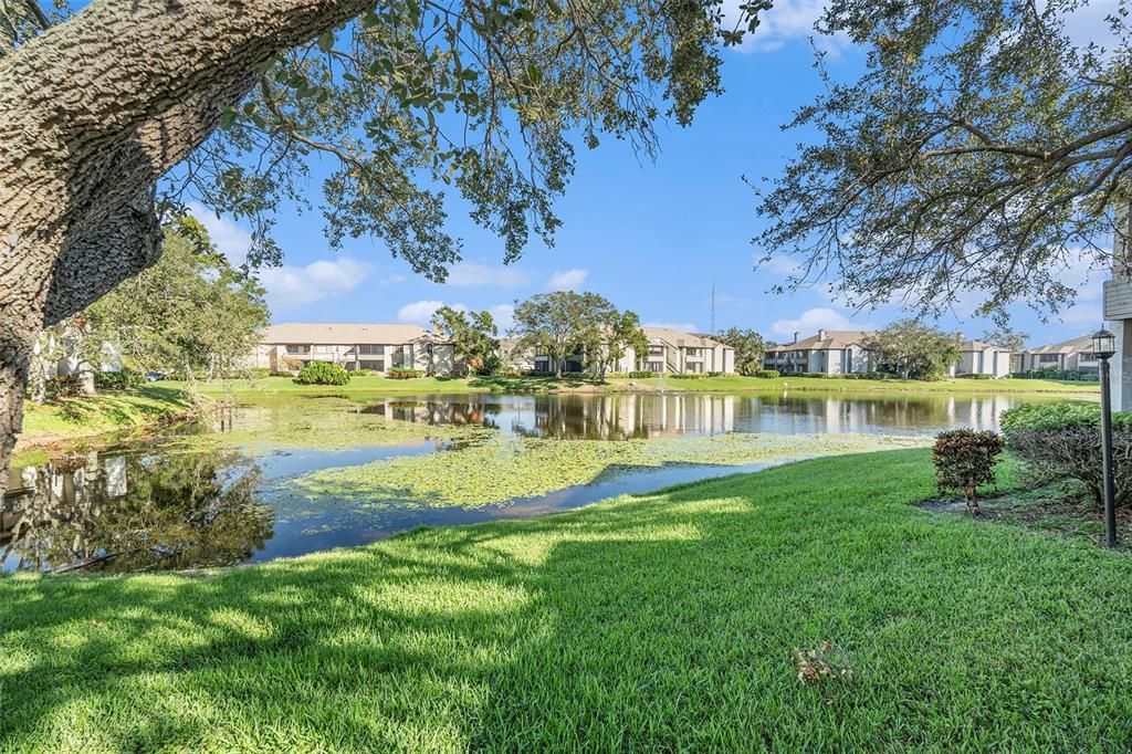 Pond view from your balcony.