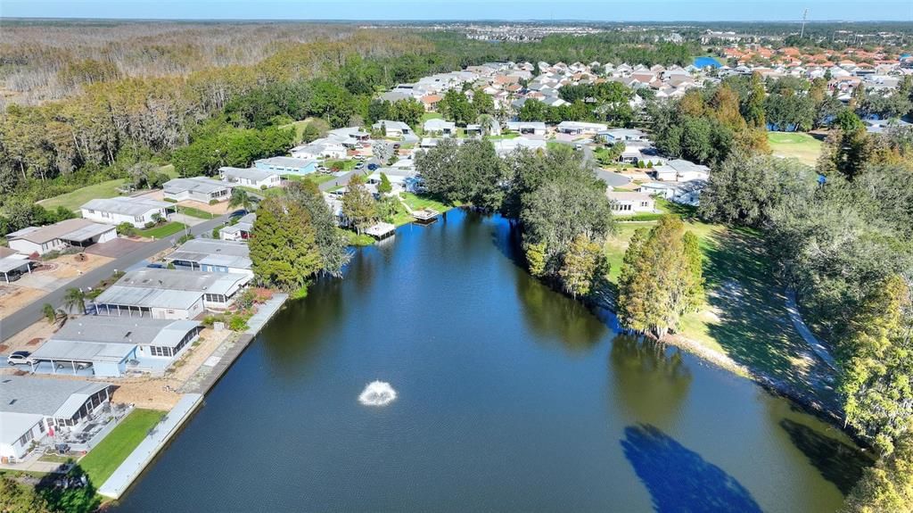 Pond View