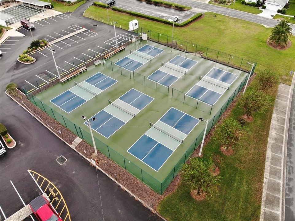 Plenty of courts for all