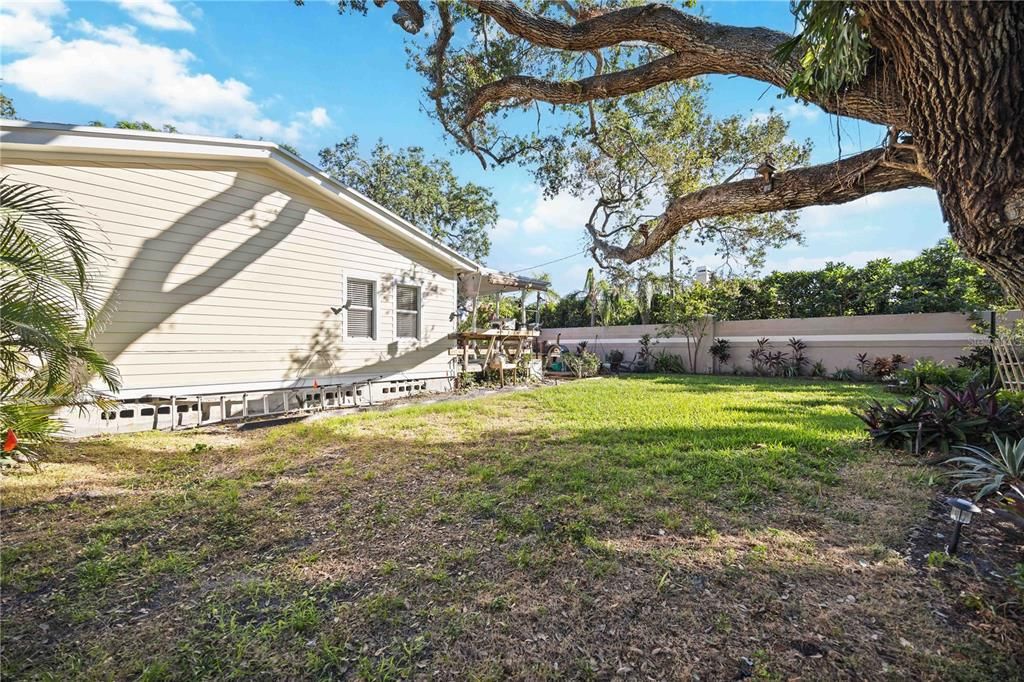 Spacious backyard