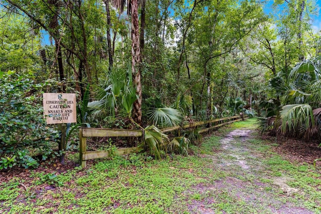 Neighborhood nature walk