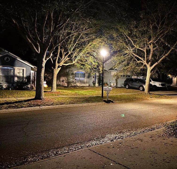 Quaint lamp post through-put neighborhood