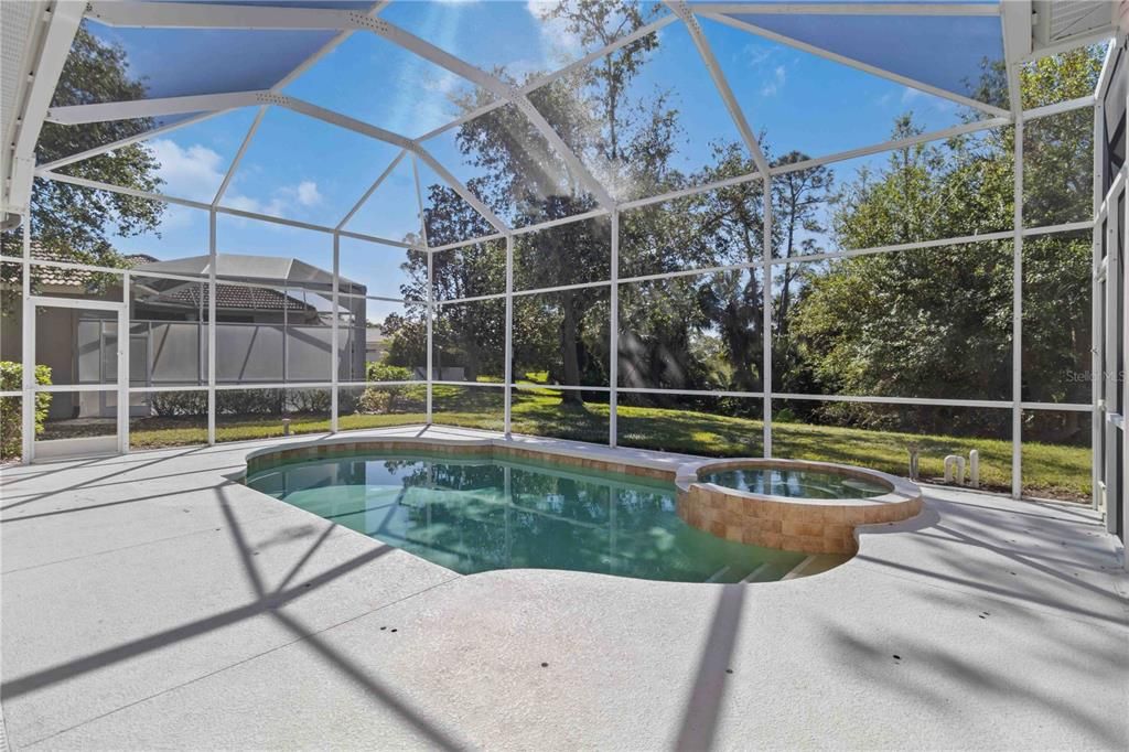 Spacious pool and spa area