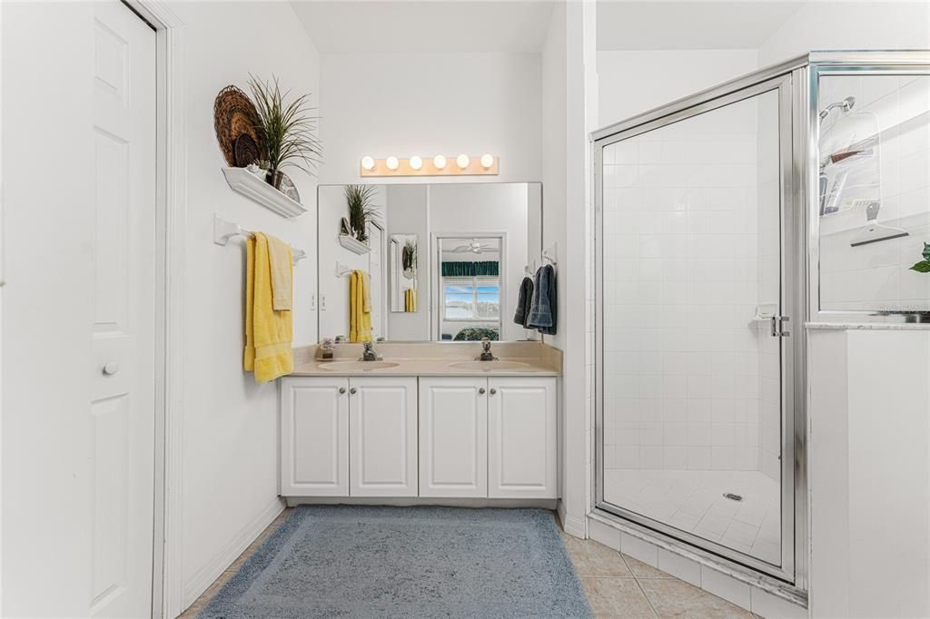 Primary ensuite bathroom with walk-in shower