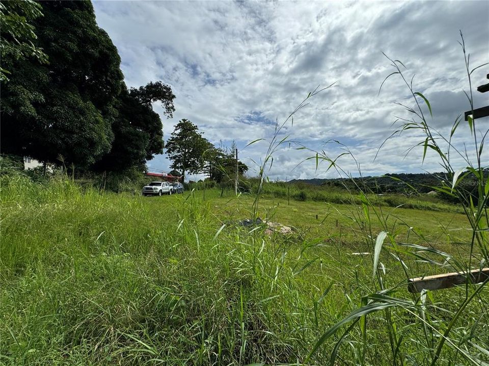 На продажу: $115,000 (0.63 acres)