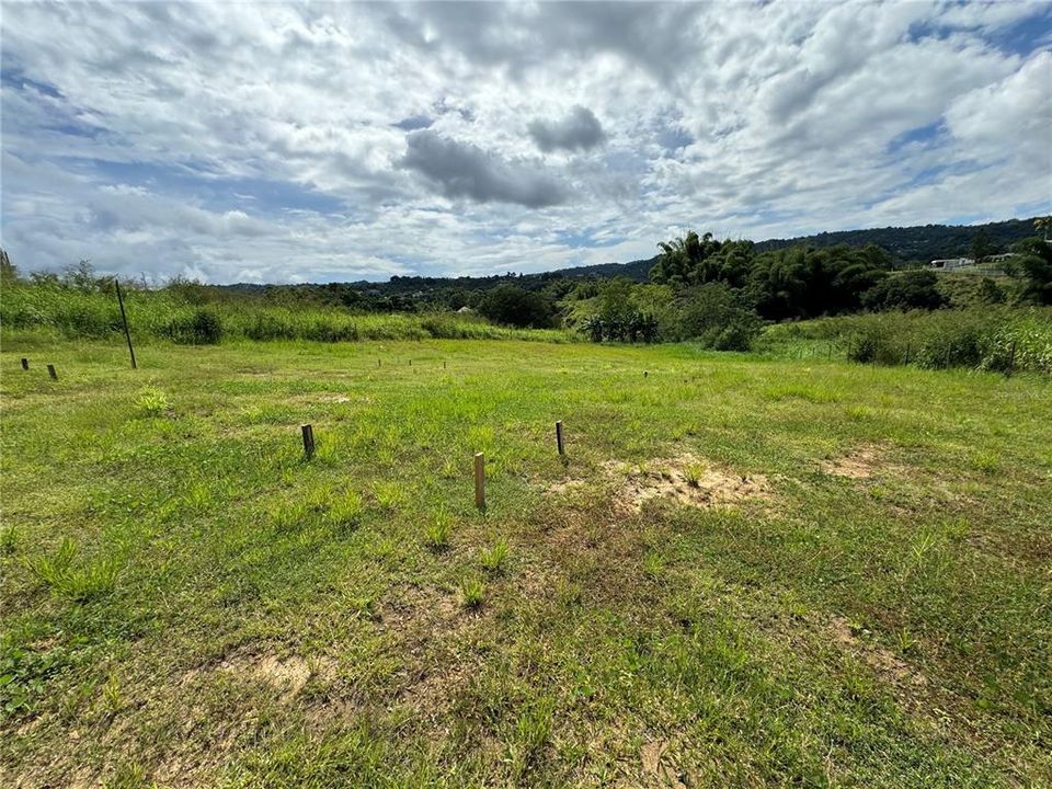 На продажу: $115,000 (0.63 acres)