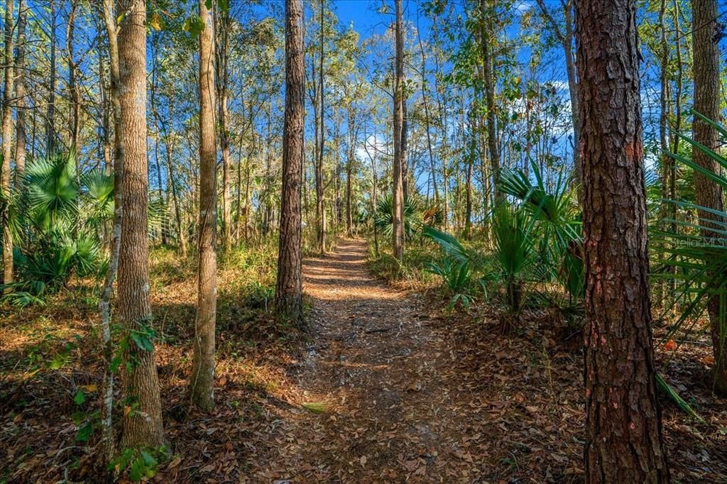 На продажу: $79,900 (0.09 acres)