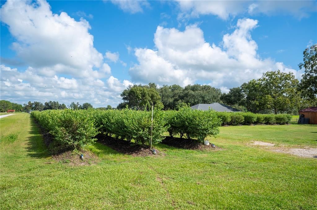 For Sale: $995,000 (4 beds, 2 baths, 1995 Square Feet)