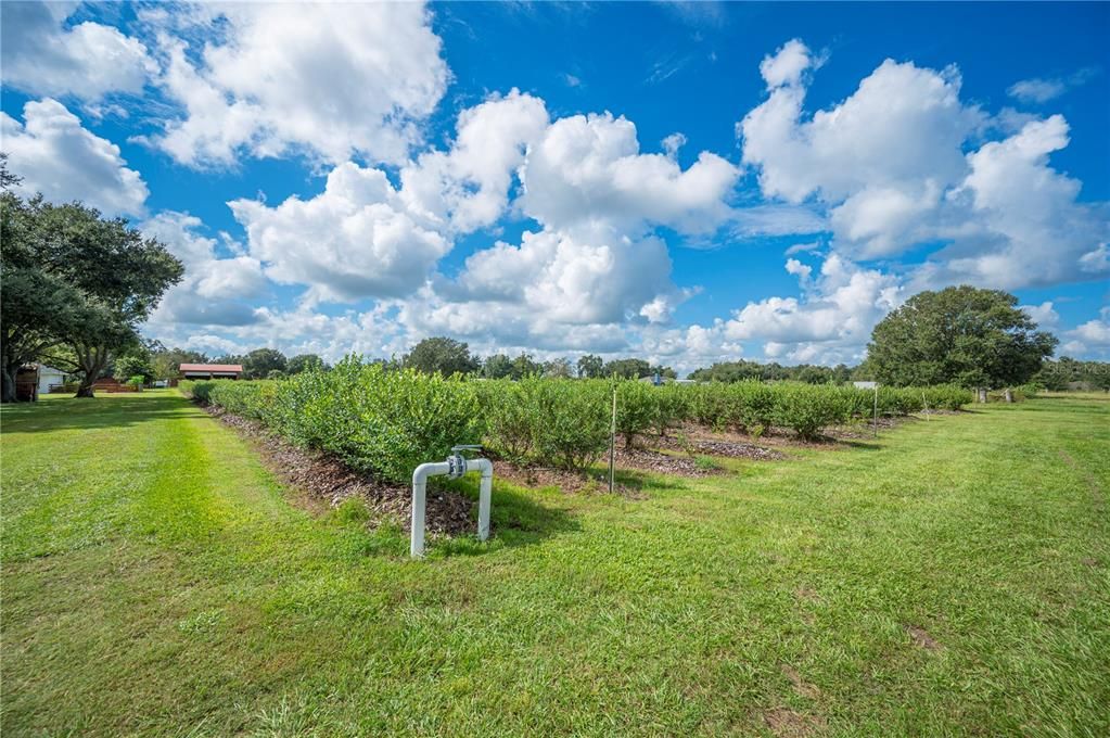 For Sale: $995,000 (4 beds, 2 baths, 1995 Square Feet)