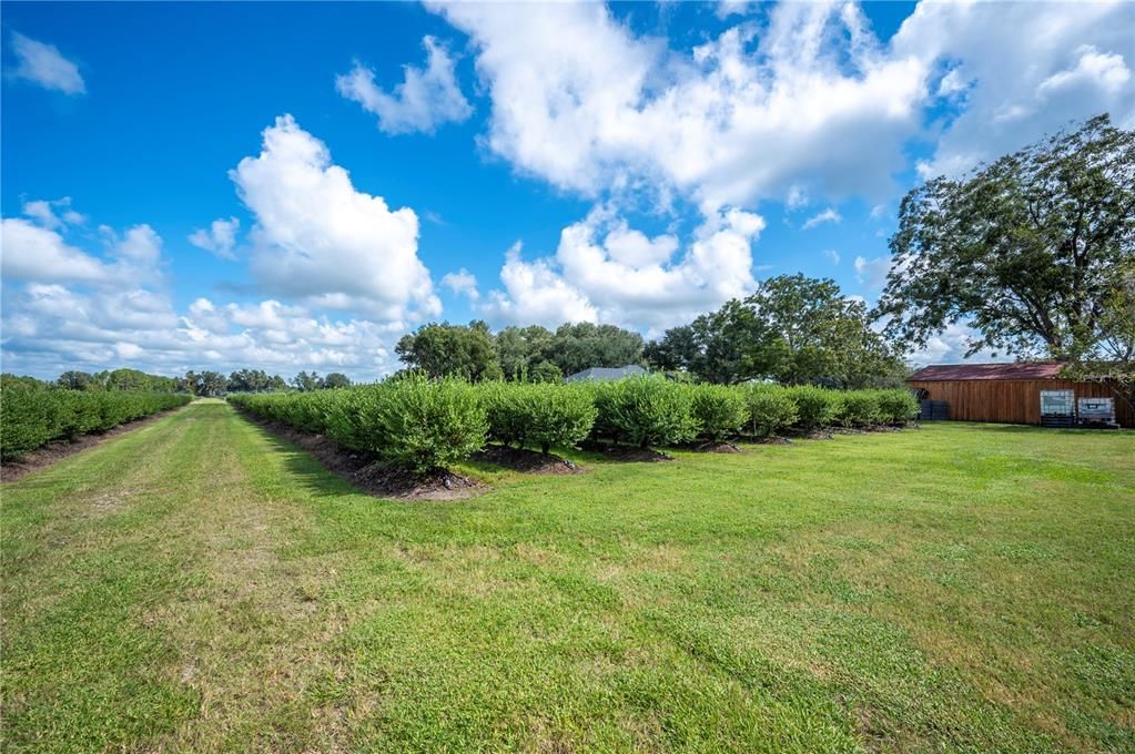 For Sale: $995,000 (4 beds, 2 baths, 1995 Square Feet)