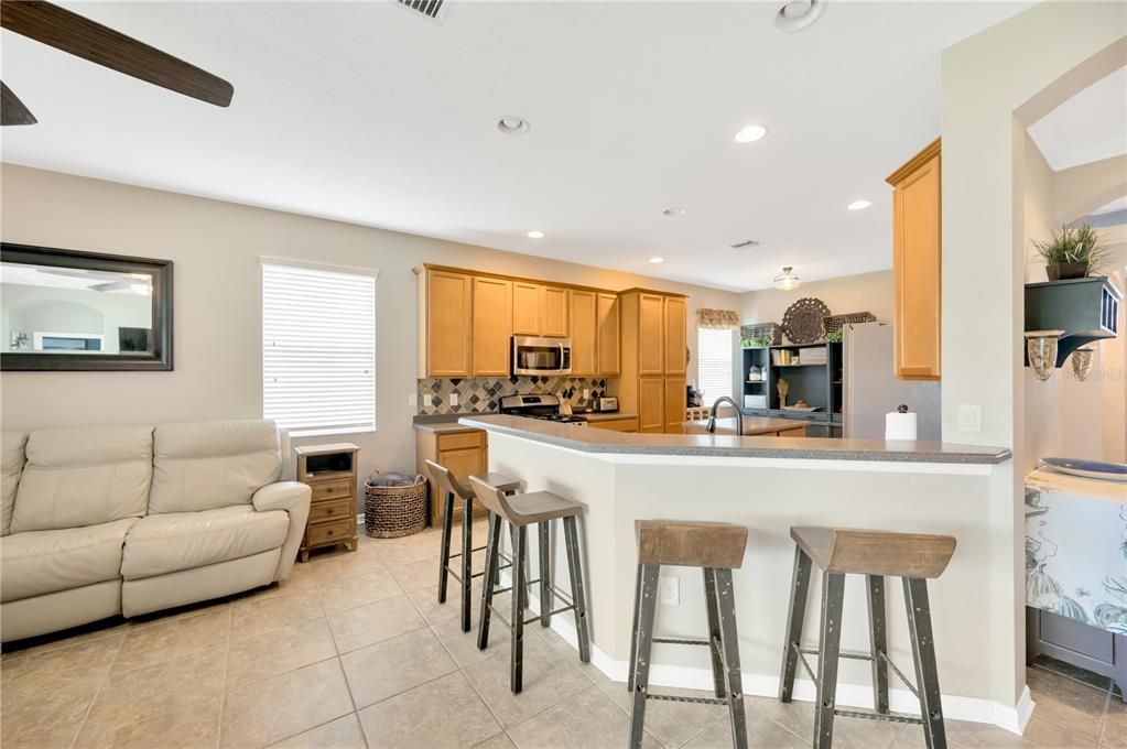 Kitchen living room view