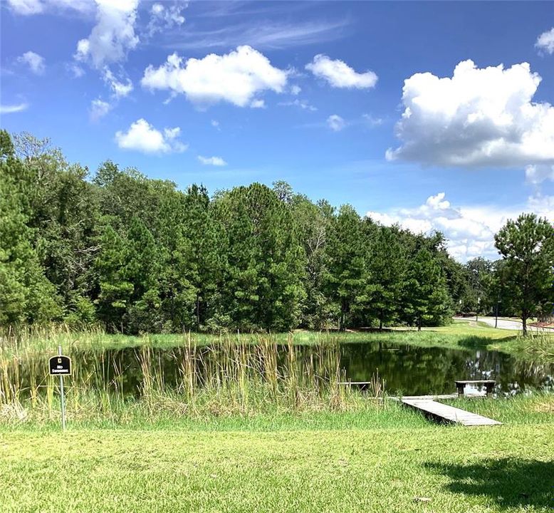 Multiple ponds in community, beautiful settings in neighborhood