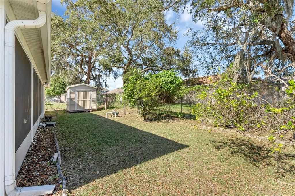 Back Yard with Shed