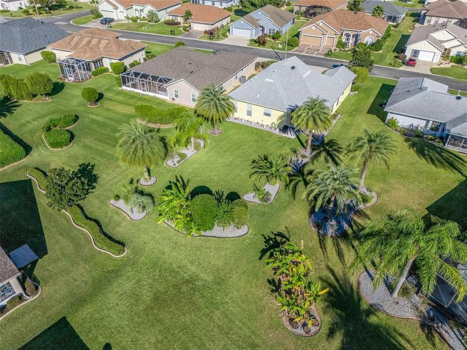 Backyard w/Tropical landscape