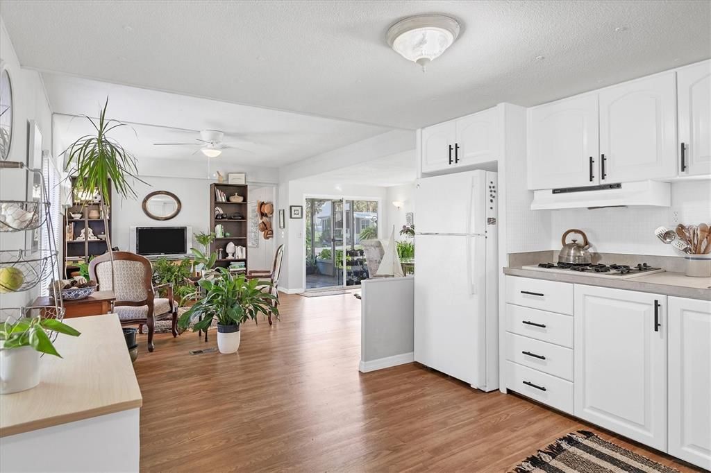 Kitchen/Living Room