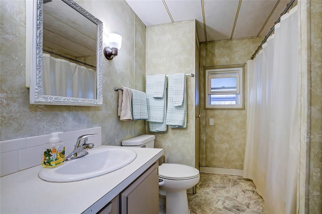 Hall/Guest Bath