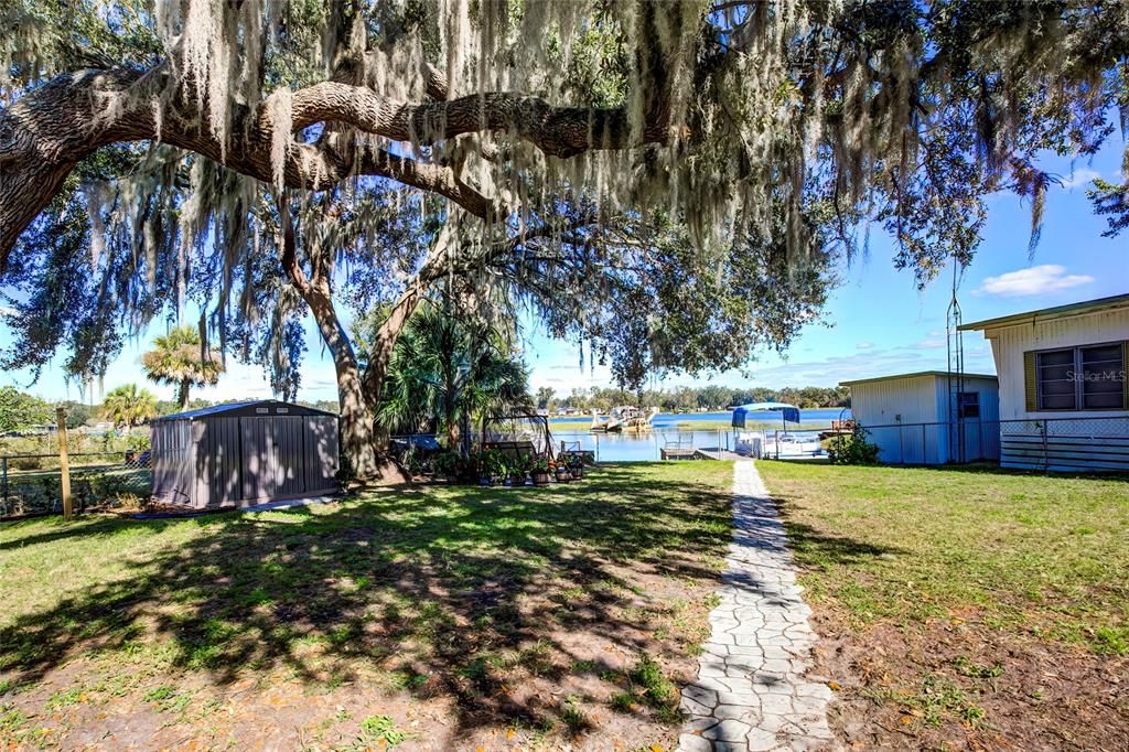 Fenced Backyard