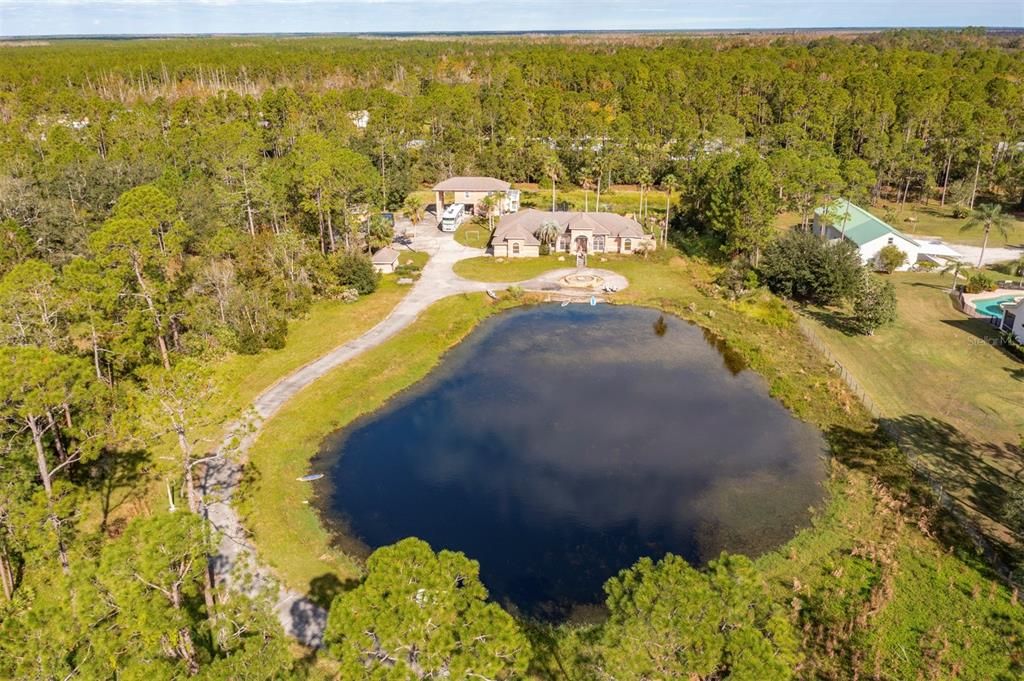 Spring fed pond