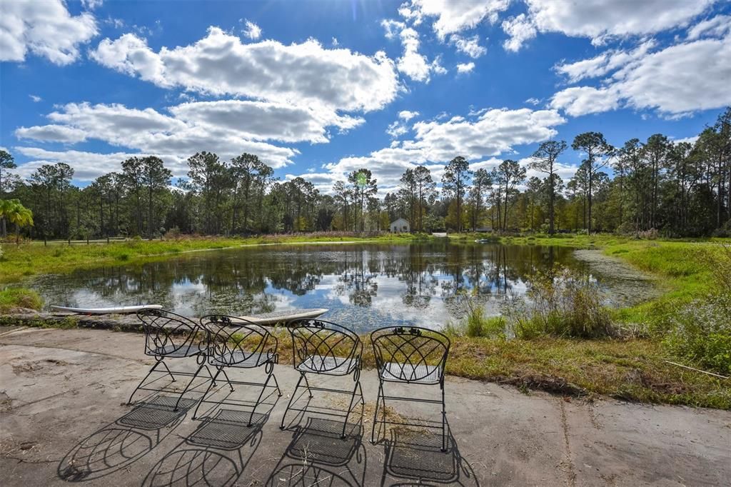 Spring fed pond