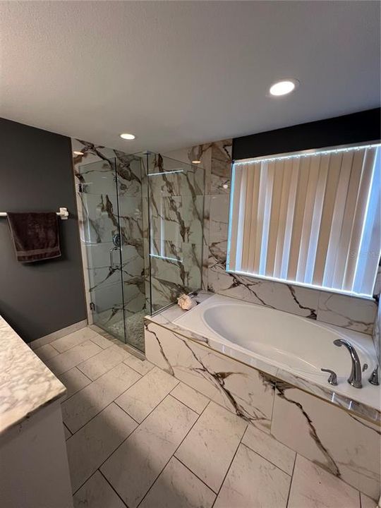 Bath tub with Separate Shower