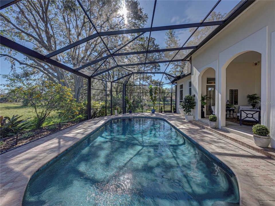 Panoramic Screened-in Pool area