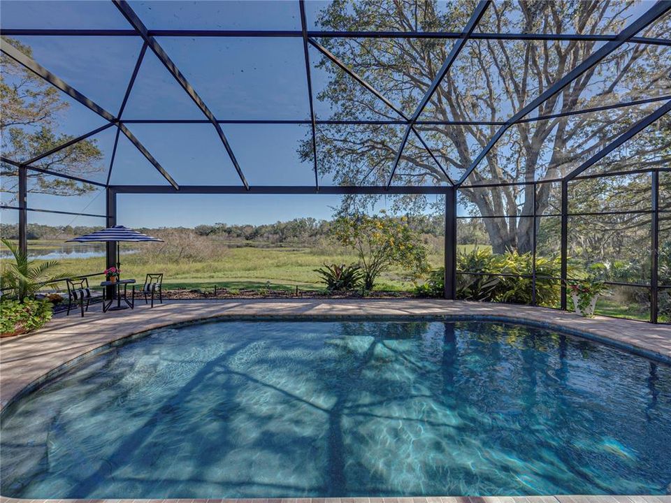 Panoramic Screened-in Pool area