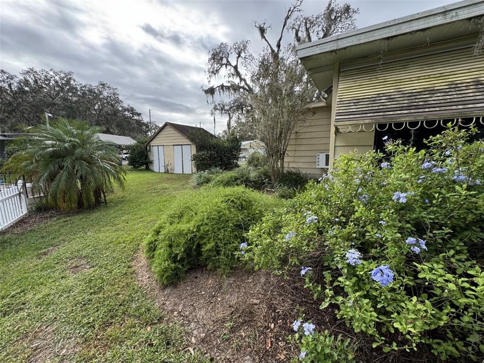 Back yard and shed