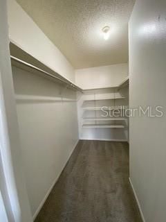 Walk in Closet in Master Bedroom