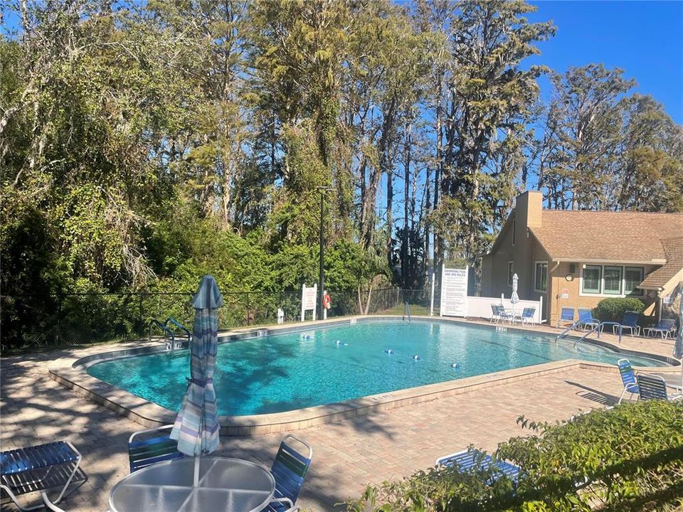 Pool at Lake Tarpon Clubhouse Lodge