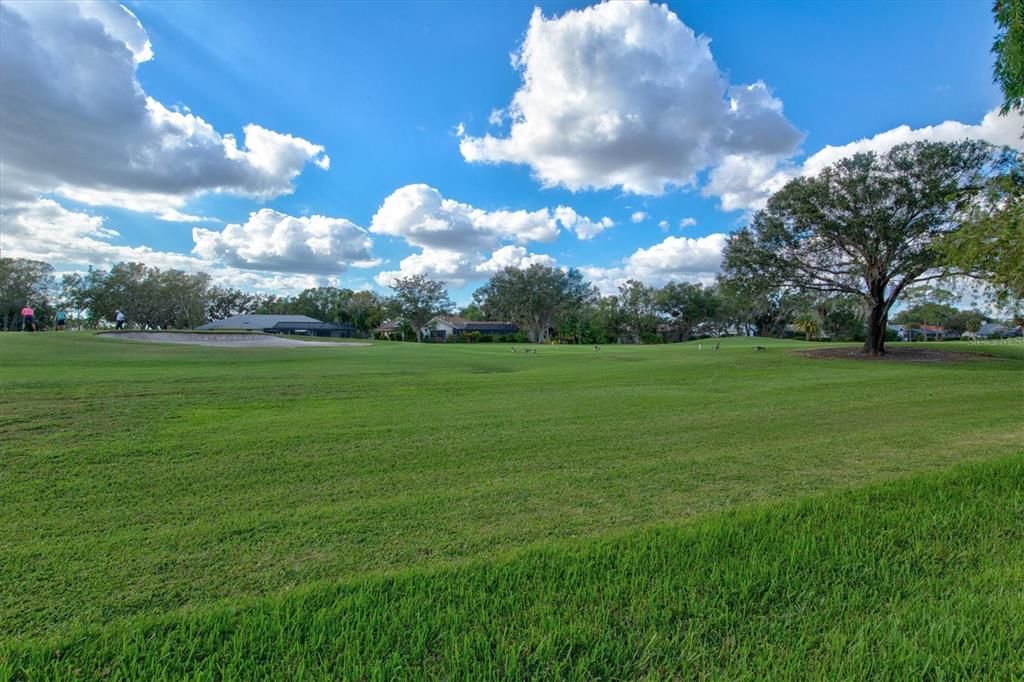 Panoramic Golf Course View