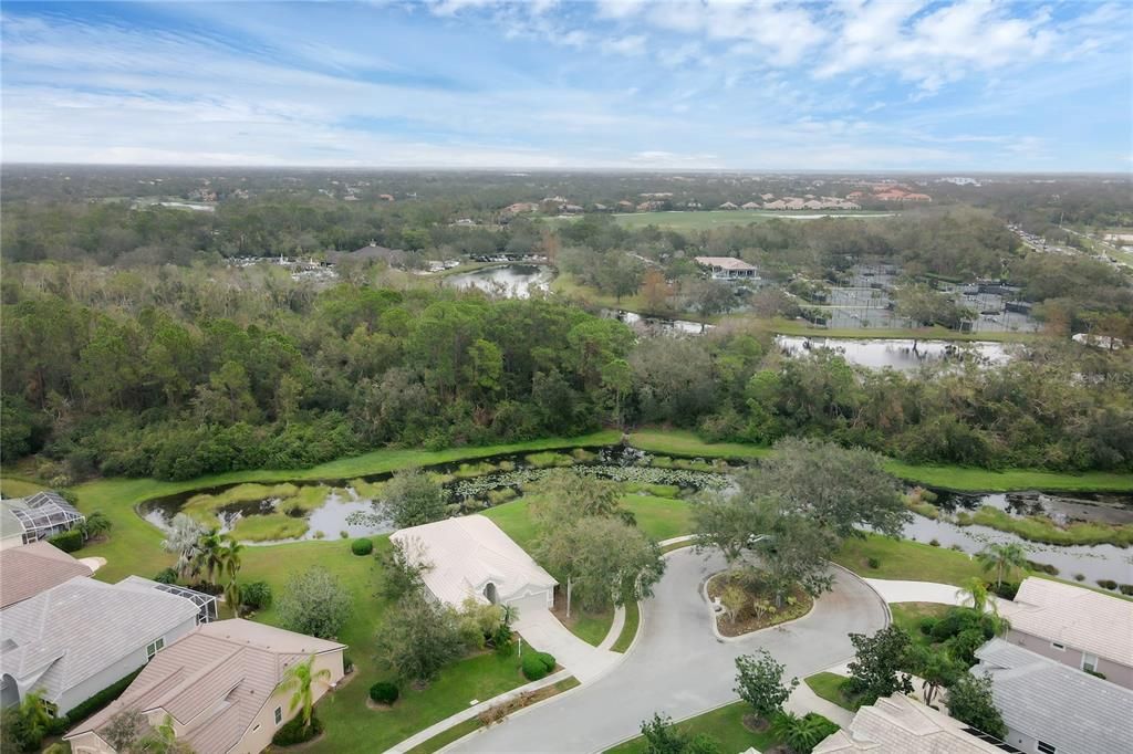 Aerial showing the large lot, cul-de-sac, and lake view.