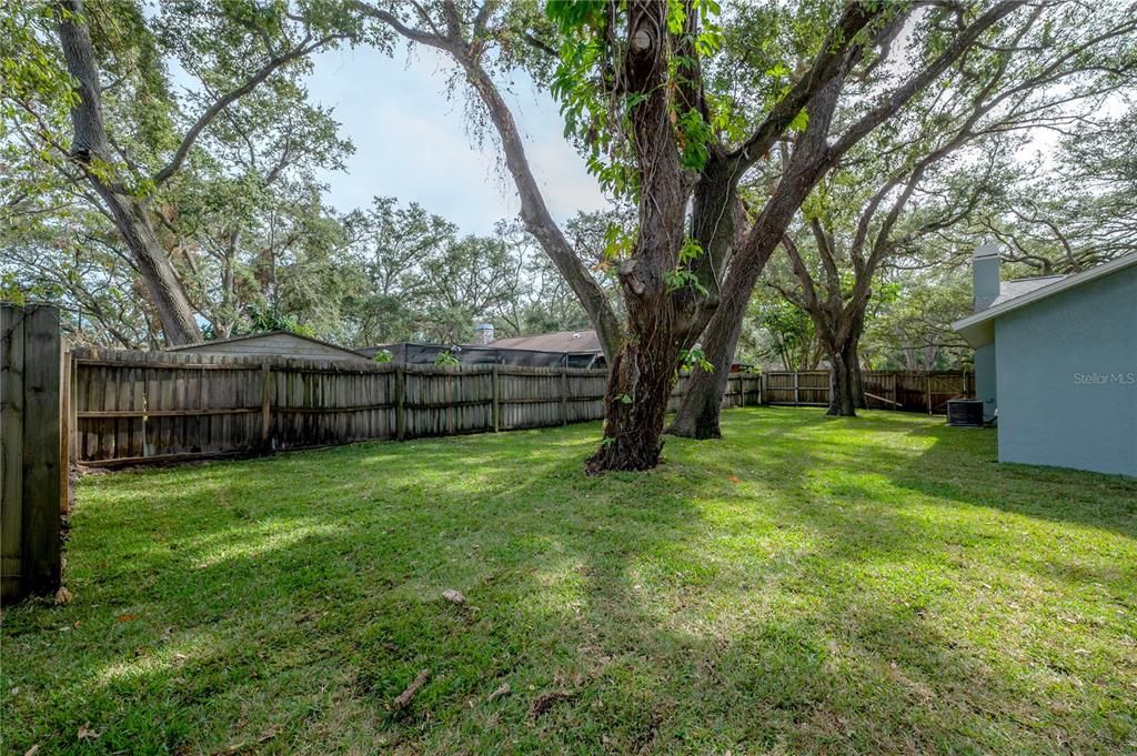 Fully Fenced Back Yard