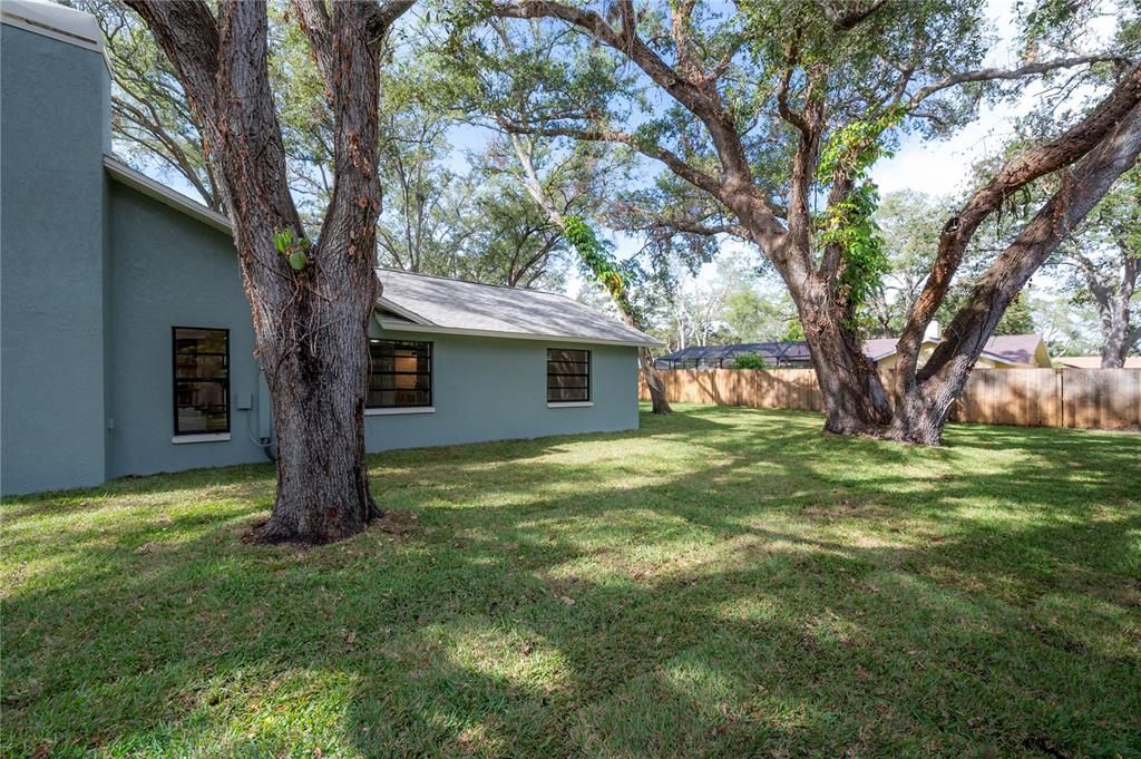 Fully Fenced Back Yard