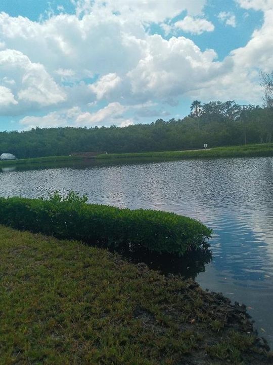 Activo con contrato: $79,000 (2 camas, 1 baños, 750 Pies cuadrados)