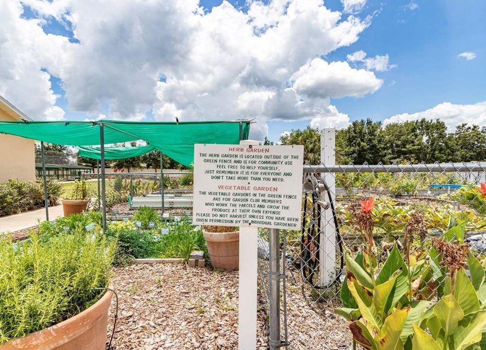 Herb/Vegetable Garden