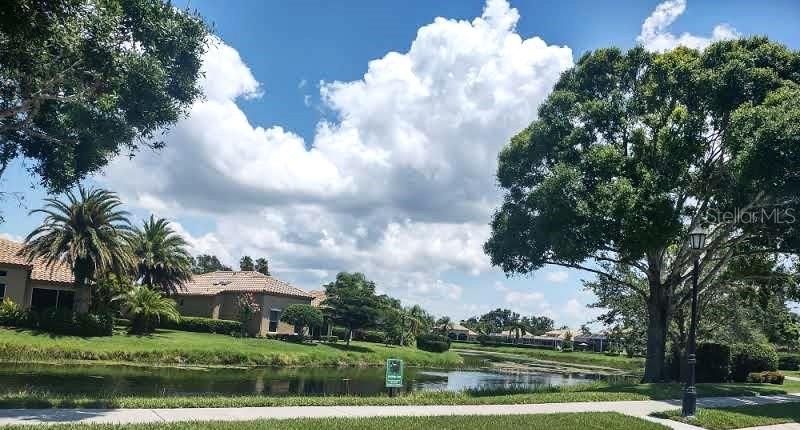 Beautiful pond across the street.