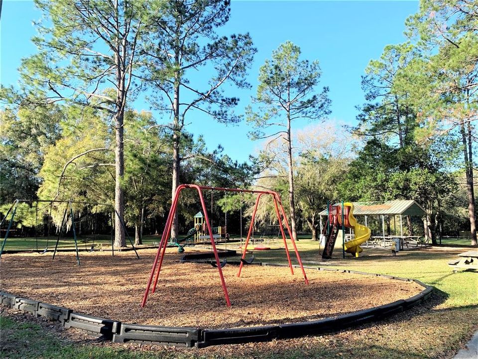 Turkey Creek Playground