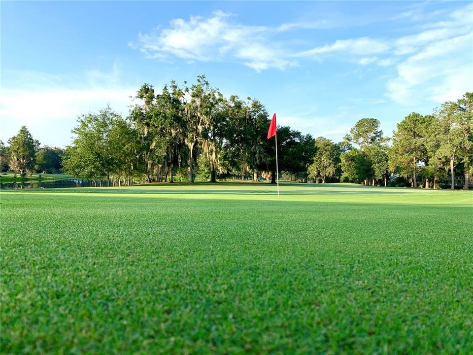 Turkey Creek Golf Course