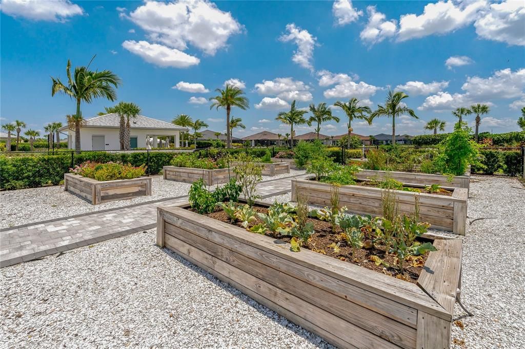 Raised bed community garden