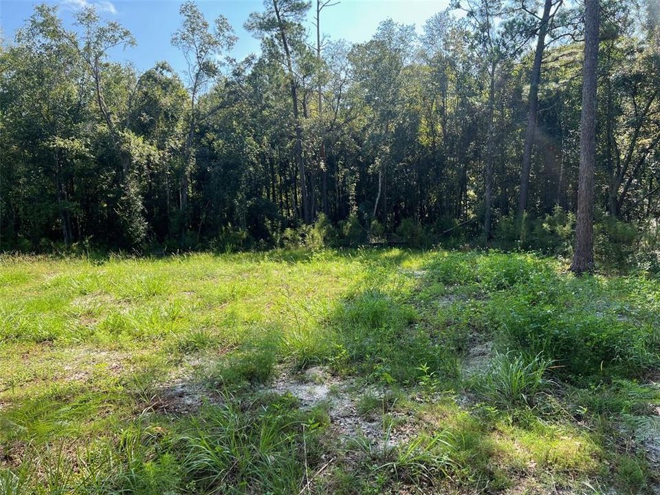 Recently Sold: $60,000 (1.34 acres)